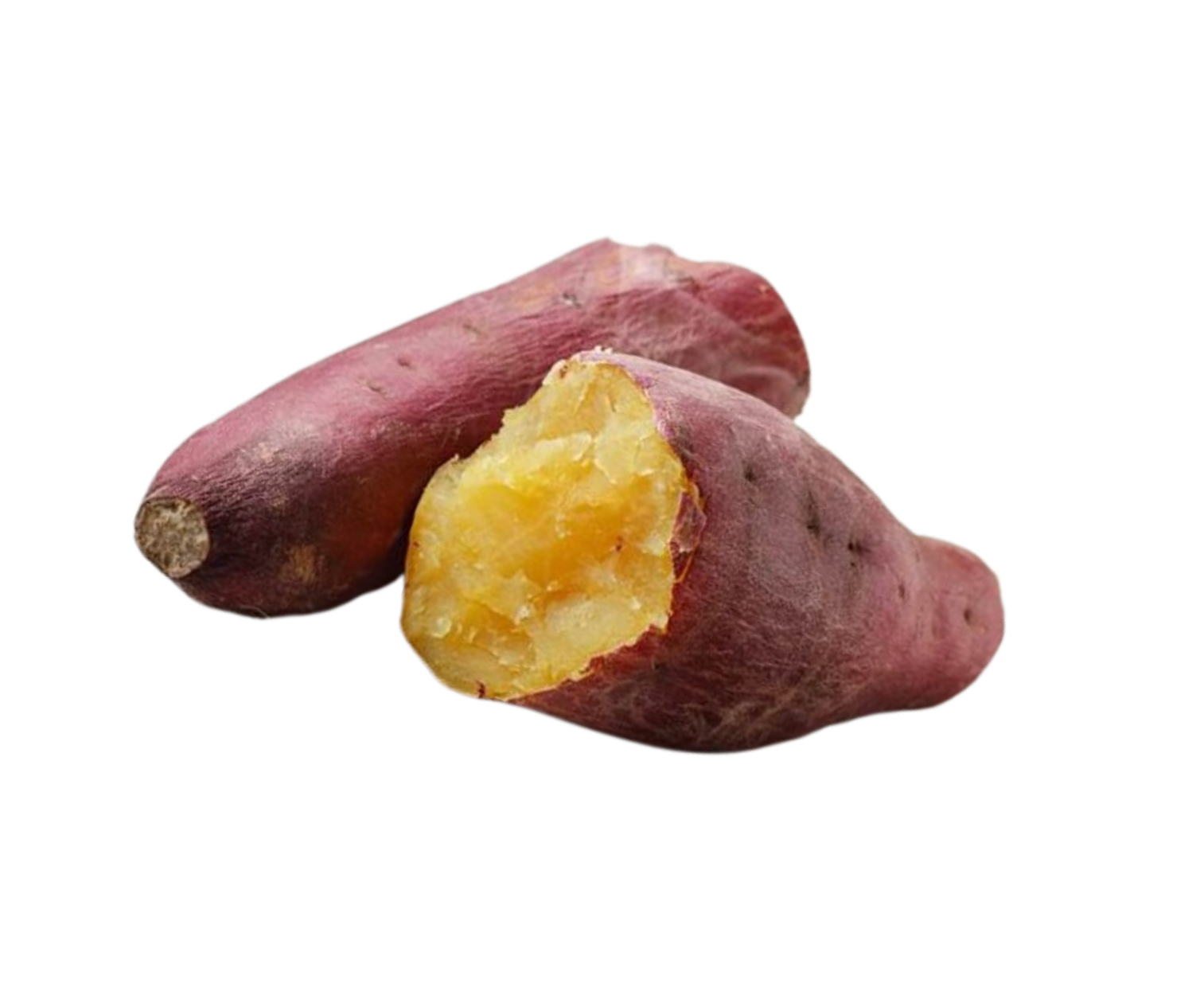 Dog with healthy food