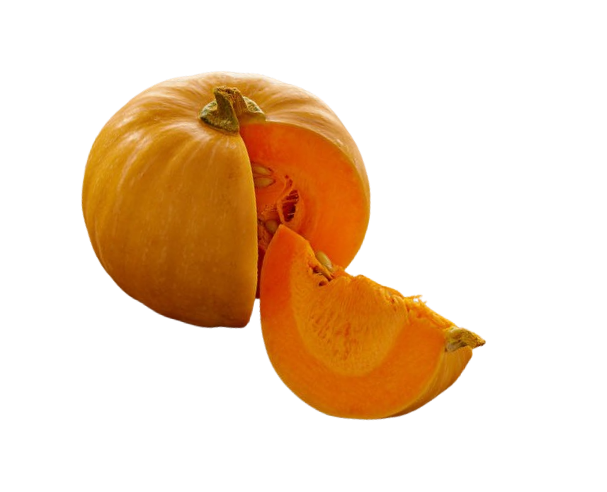 Dog with healthy food